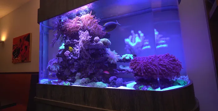 City Aquarium LLC Picture 4