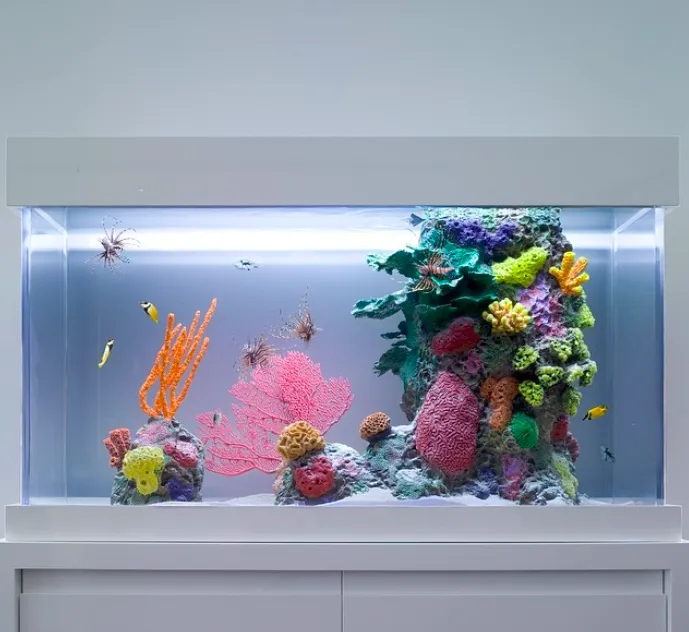 City Aquarium LLC Picture 7