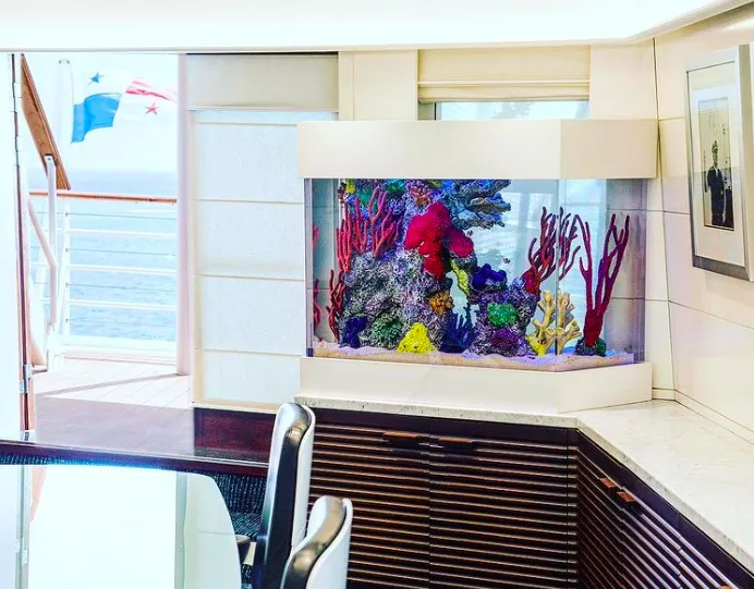 City Aquarium LLC Picture 6