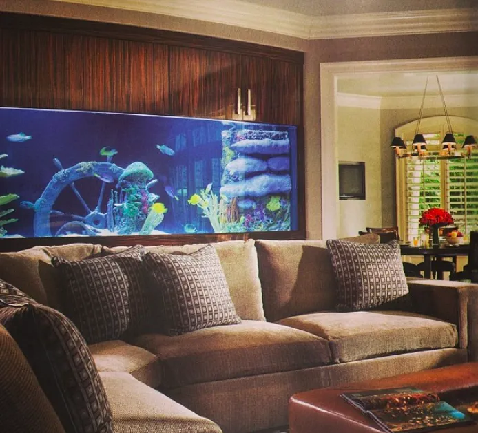 City Aquarium LLC Picture 10
