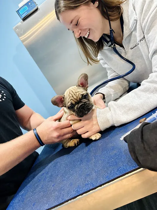 Agnew Veterinary Reproductive Services Picture 8
