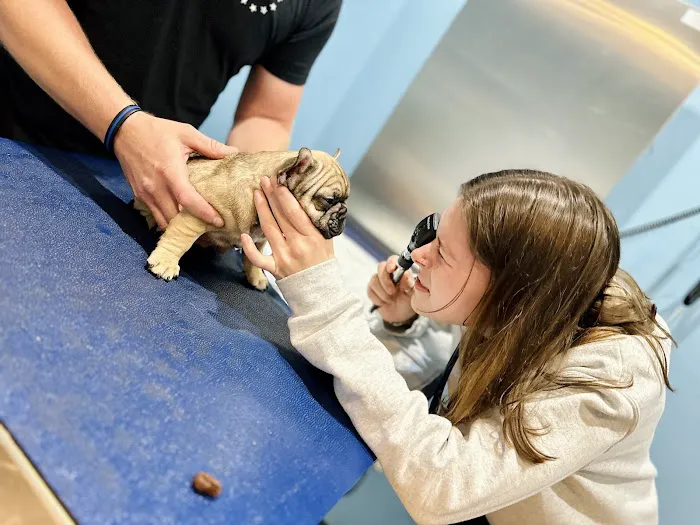 Agnew Veterinary Reproductive Services Picture 1