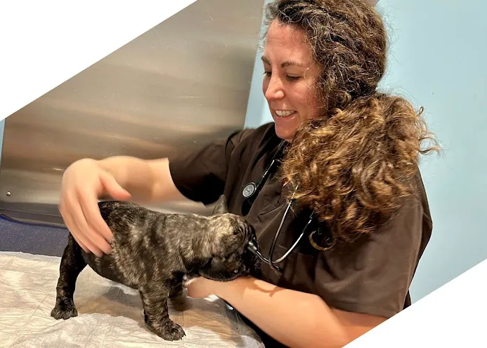 Agnew Veterinary Reproductive Services Picture 3