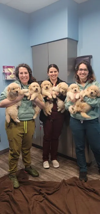 Agnew Veterinary Reproductive Services Picture 2