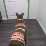 Pet Health Center