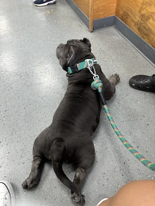 Pet Health Center Picture 5