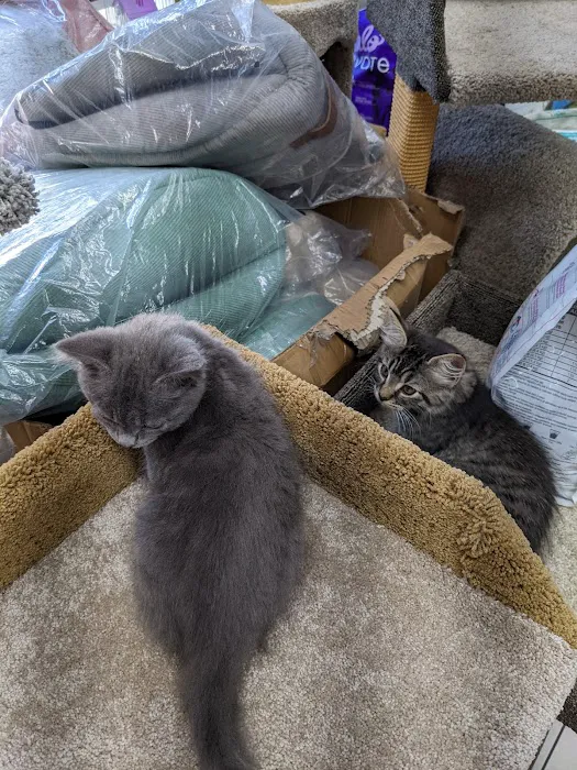 ALL 4 PETS Picture 4