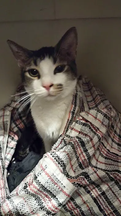 Frankford Animal Clinic Picture 2