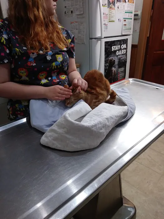Frankford Animal Clinic Picture 8