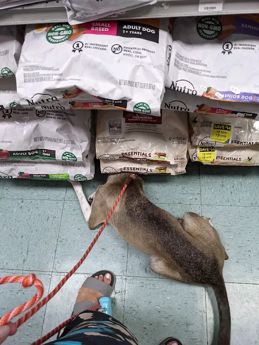Whole Pets Market Picture 2