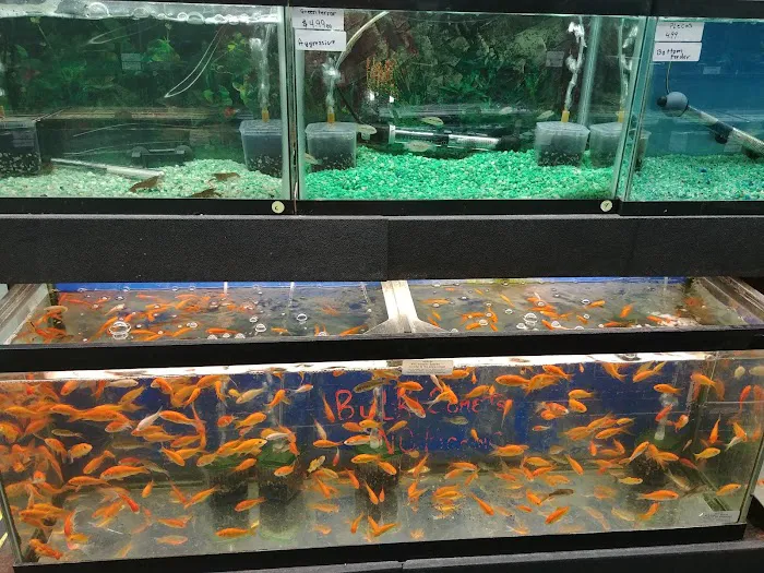 Whole Pets Market Picture 5