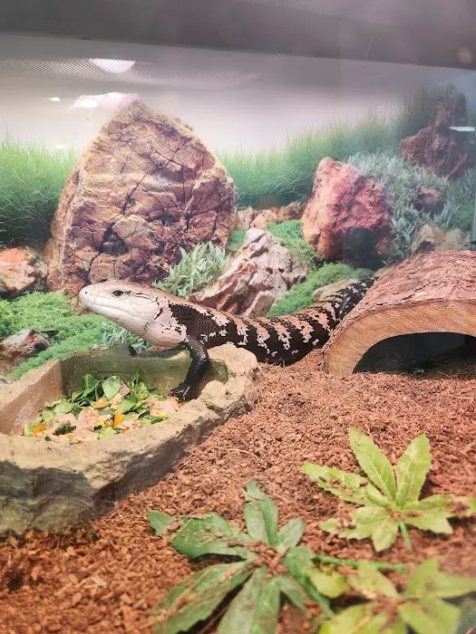 Whole Pets Market Picture 4