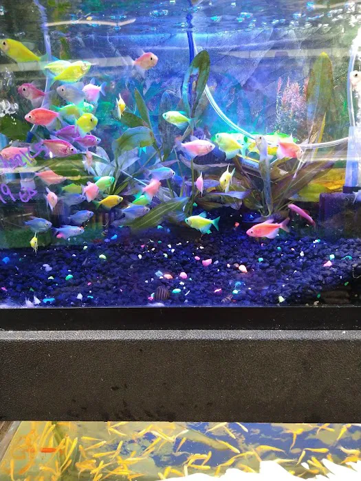 Whole Pets Market Picture 8
