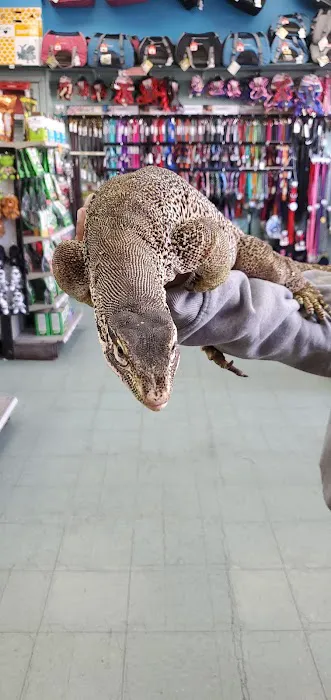 Whole Pets Market Picture 7