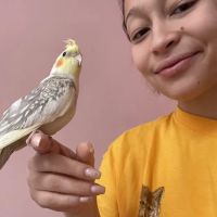 Empire Parrots ico