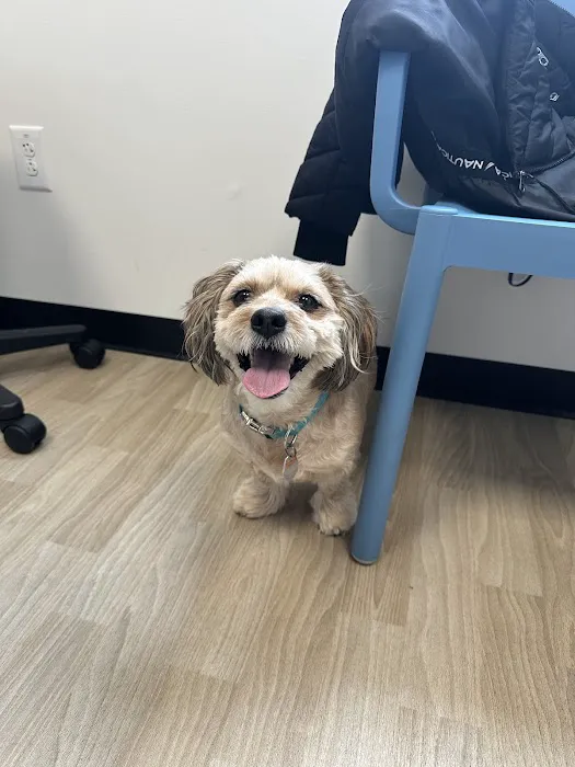 Pennsauken Animal Hospital & Urgent Care Picture 7