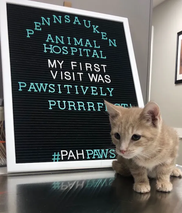 Pennsauken Animal Hospital & Urgent Care Picture 6