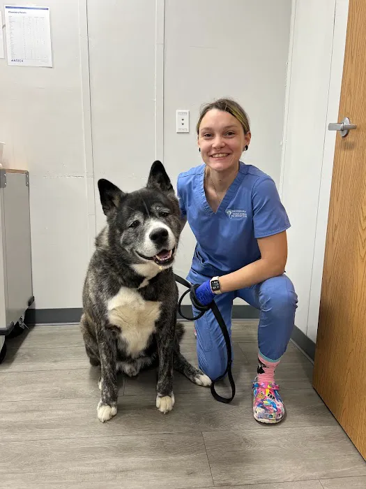 Pennsauken Animal Hospital & Urgent Care Picture 8