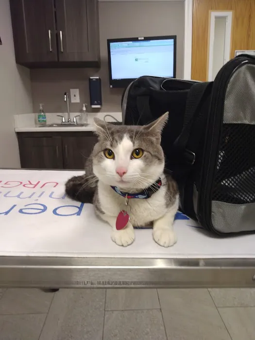 Pennsauken Animal Hospital & Urgent Care Picture 4