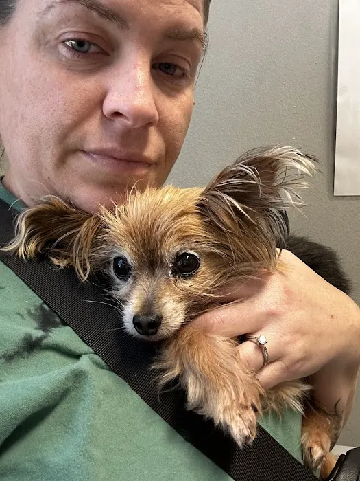 Pennsauken Animal Hospital & Urgent Care Picture 2