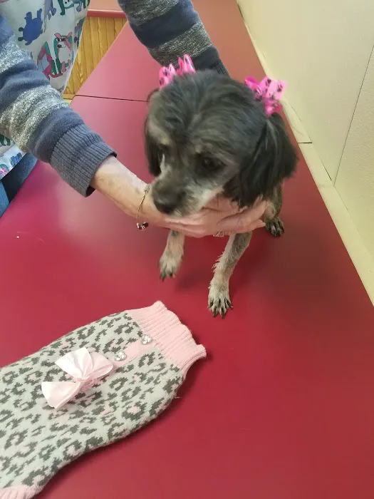 Delco Veterinary Hospital Picture 2