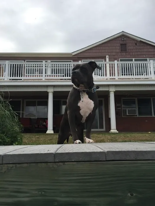 Delco Veterinary Hospital Picture 5