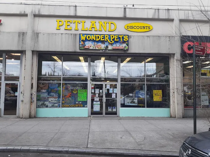 Wonder Pets corp Picture 7