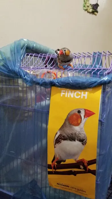 Wonder Pets corp Picture 6