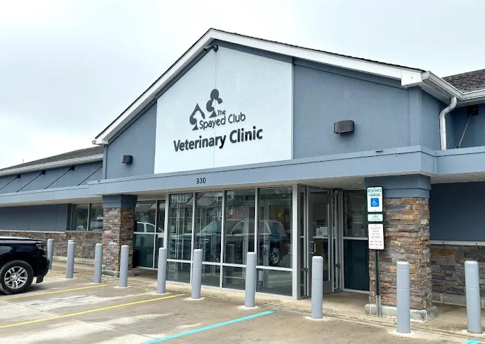 The Spayed Club Veterinary Clinic Picture 5