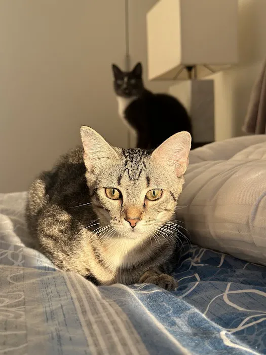 PetLove Picture 5