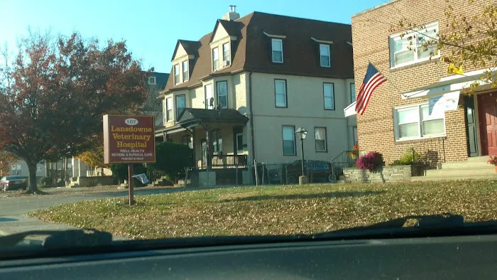 Lansdowne Veterinary Hospital Picture 1
