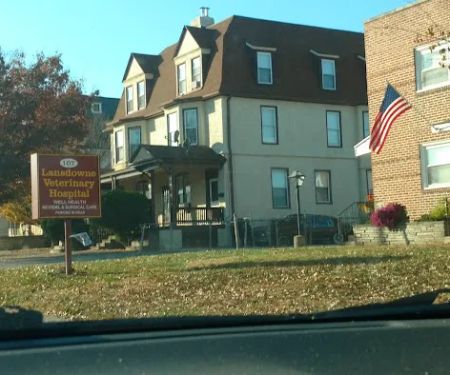 Lansdowne Veterinary Hospital