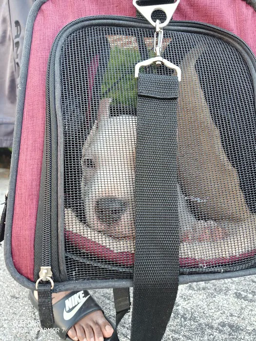 Lansdowne Veterinary Hospital Picture 8