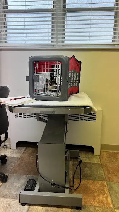 Lansdowne Veterinary Hospital Picture 5