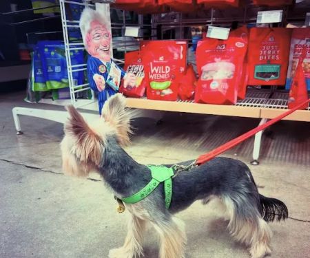 Pets Square