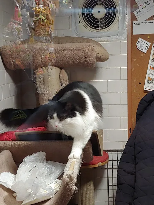 Spoiled Brats Pet Shop Picture 6