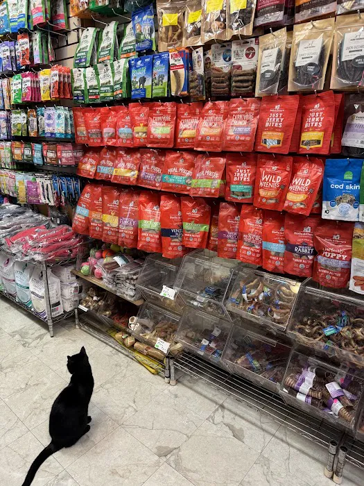 Spoiled Brats Pet Shop Picture 2