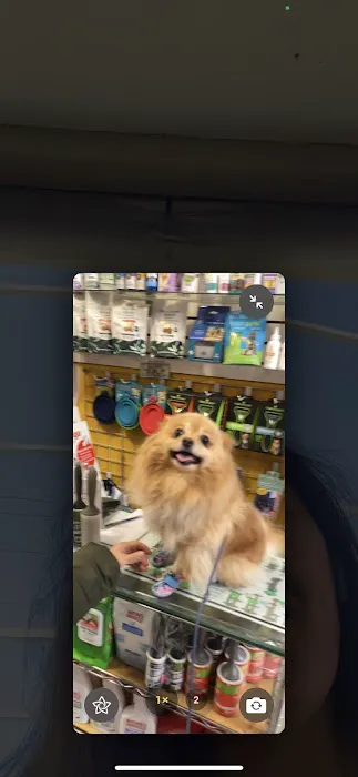 Spoiled Brats Pet Shop Picture 10