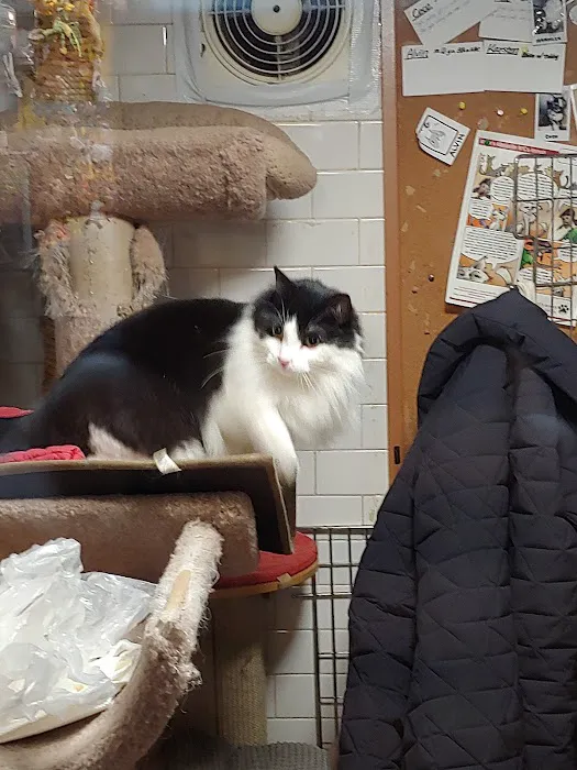 Spoiled Brats Pet Shop Picture 9