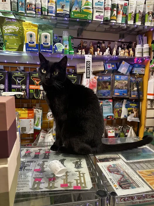 Spoiled Brats Pet Shop Picture 7