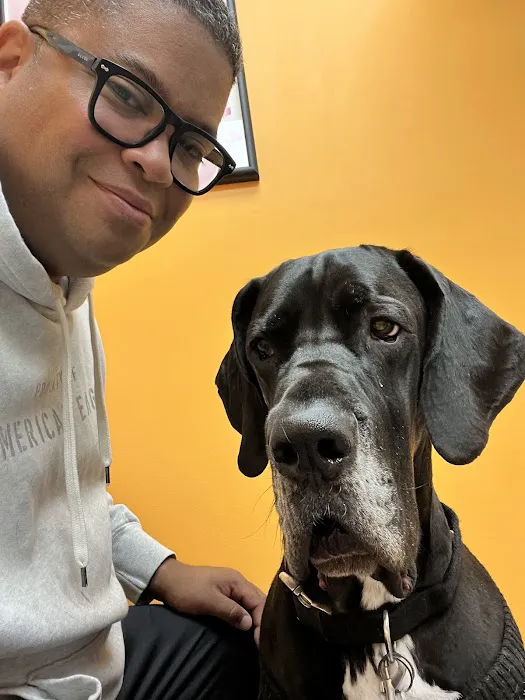 Glenolden Animal Hospital Picture 7