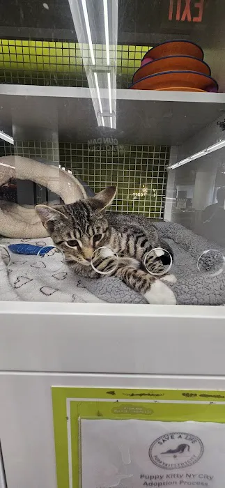 Petco Picture 5