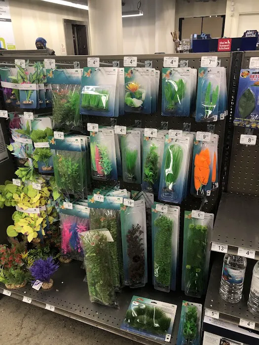 Petco Picture 2