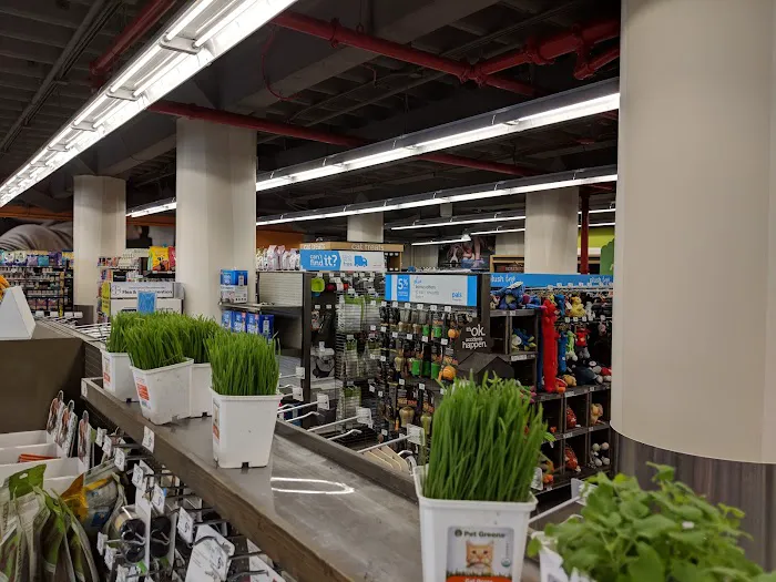 Petco Picture 1
