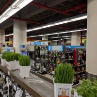 Petco ico