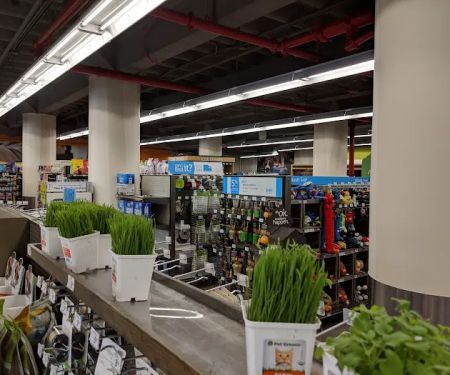 Petco