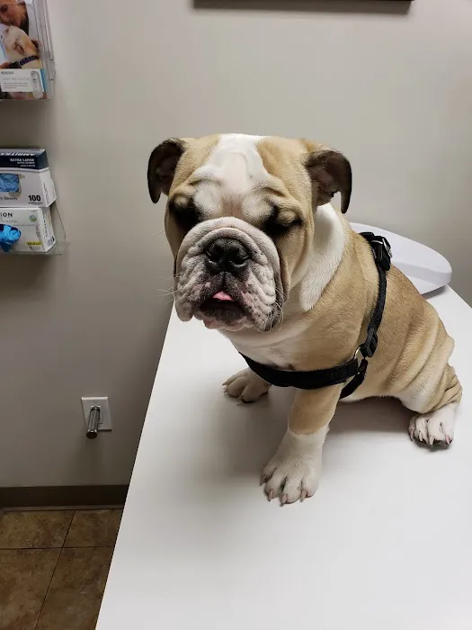 World of Animals Veterinary Hospital at Mayfair Picture 7
