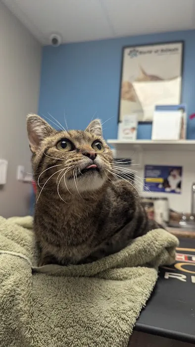 World of Animals Veterinary Hospital at Mayfair Picture 4