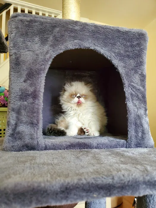 Noah's Ark Animal Hospital Picture 4