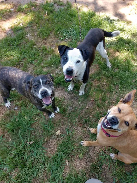 Noah's Ark Animal Hospital Picture 10